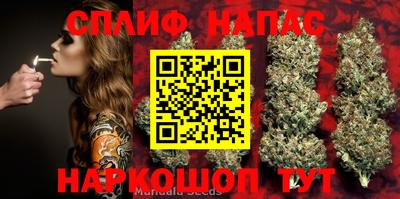 каннабис Будённовск
