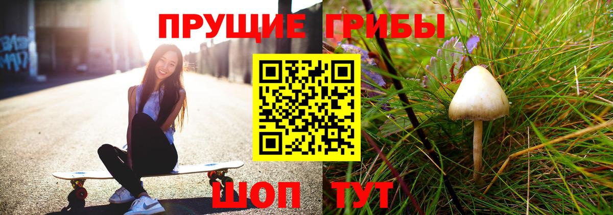 Галлюциногенные грибы прущие грибы  Вход с VPN  Саянск 