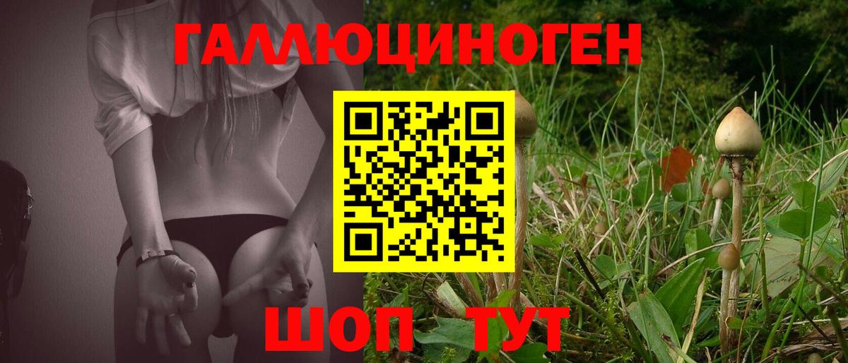 Псилоцибиновые грибы GOLDEN TEACHER Саянск